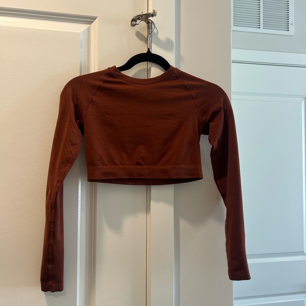 YoungLA Brown Fitted Long Sleeve Crop Top
